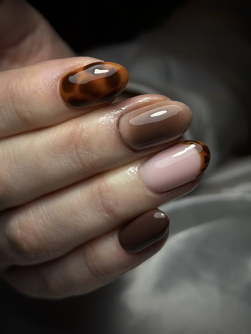 Tortoiseshell en glanzend bruin